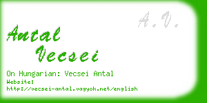 antal vecsei business card